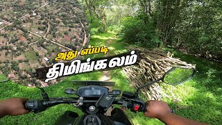 Vavuniya Forest pattiveli kulam 😱 | Sri lanka | #sltamilvlogs