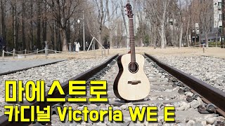 [마에스트로기타] 마에스트로 카디널 시리즈 빅토리아 WE E 리뷰 \u0026 사운드샘플 (Maestro Victoria WE E Review \u0026 Soundsample)