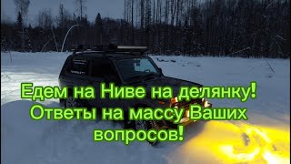 Вечерняя поездка на Ниве на делянку! Отвечаю на массу Ваших вопросов!