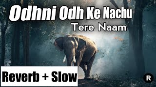Odhani Odh Ke Nachu (Slow + Reverb) | Tere Naam | Udit Narayan | Alka Yagnik | Slow and reverb song