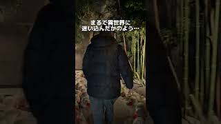 【面白すぎる】洞窟探検出来るゲームセンター知ってる？ #shorts