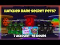 I Used 7 Account To Hatch All The Perm Eggs For 48 Hours! Rare Secret Pets | Bubble Gum Simulator