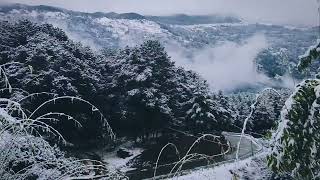 Snow fall in jiri dolakha such a wonder full moment!!😊jiri dolakha Nepal🇳🇵🇳🇵