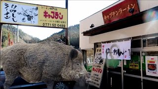 昭和のラーメン屋『キャプテン』【元祖いのししラーメン】チャーハン＆いのしし餃子定食【飯テロ】京都周山街道  Old Style Ramen  in  Japanese  Kyoto