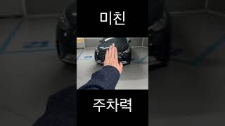 이 사람 심리는 뭘까? 관종? 주차쌉고수?