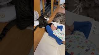 【子供達を見守る猫】寝起きの悪い息子を見守るサンタお兄さん😽12歳♂