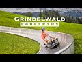 Grindelwald Rodelbahn / Toboggan ride -  Switzerland 4K 60fps video