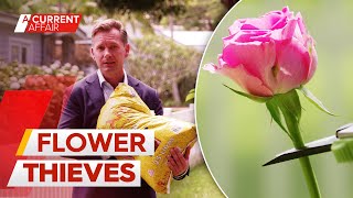 Woman hit with criminal record for clipping neighbours' hydrangeas | A Current Affair