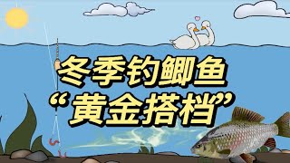 冬季低温时，掌握钓鲫鱼的“黄金搭档”，钓得多也不难