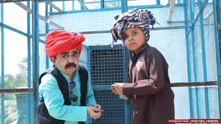 Kabootar Chor - Pakistani chotu Full Funny clip - Chota Numberdar Comedy