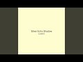 Silver Echo Shadow