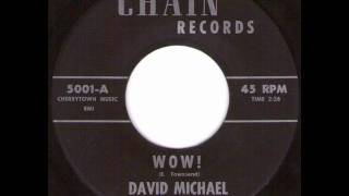 David Michael - Wow!.wmv