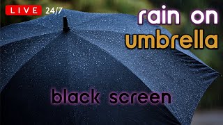 🔴 [LIVE 24/7] Rain on Umbrella | Rain Ambience No Thunder | Rain Sounds for Sleeping [Black Screen]