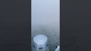 Cloudy on the suislaw #god #shortsvideo #shortsvideo #shorts #silver #salmon #trolling #fyp