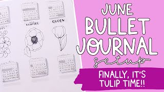 June Bullet Journal Setup 2022 | Plan With Me