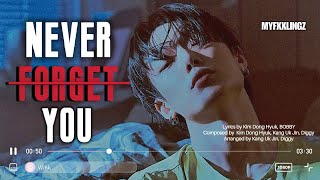 iKON (아이콘) – Never Forget You lirik rom / sub indo