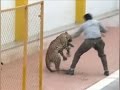 Raw: Leopard Goes on the Attack in Indian School