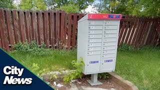 Residents concerned after entire community mailbox stolen in Forest Lawn