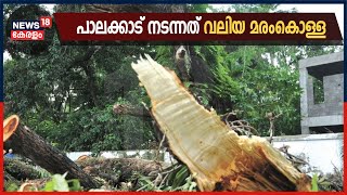 Breaking News: പാലക്കാട് മണ്ണാർക്കാട്, അഗളി റേഞ്ചിൽ നടന്നത് വലിയ മരംകൊള്ളയെന്ന് വനംവകുപ്പ്