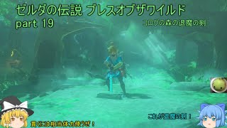 【ゼルダの伝説 ブレスオブザワイルド 】part19 コログの森の退魔の剣【ゆっくり実況】