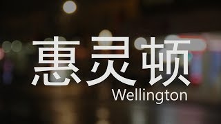 新西兰 惠灵顿 Wellington New Zealand