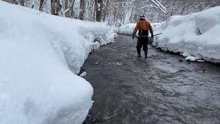 Hokkaido is in trouble in winter because there are too many fish in the mountain streams [GasaGasa]