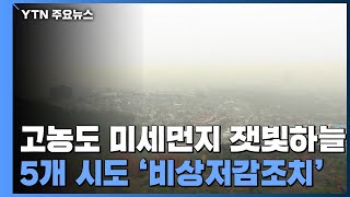 고농도 미세먼지에 잿빛 된 하늘...5개 시도 비상저감조치 / YTN