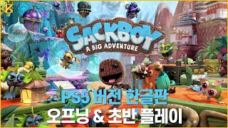 [콘솔러] PS5 색보이 어 빅 어드벤처 한글판 오프닝 \u0026 초반 플레이