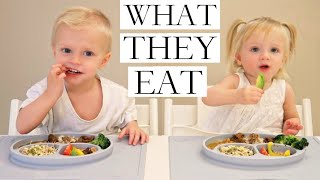 What Our VEGAN/PLANT-BASED Children Eat (PART 1/2)