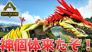 イベカラーのワイバーンとマグマサウルスを狙って卵ガチャしたら神引きしました。【キングダム ARK ロストアイランド 実況 #26 KTR Gaming】