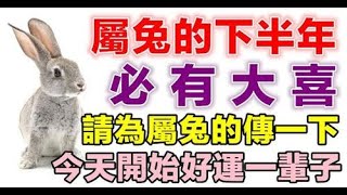 屬兔的下半年必有大喜，請為屬兔的傳一下，今天開始好運一輩子不斷的斗爭與考驗才能把我們鍛煉得更加堅不可摧。｜佛教故事