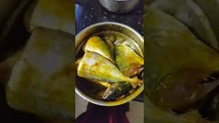 Sea Fish Masala Madness 🤪! Try this Oceanic Flavor  🤔