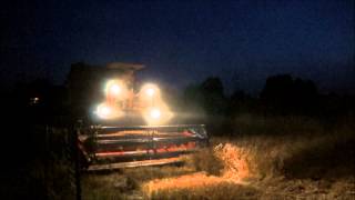 Nocne żniwa pszenicy 2013r. Bizon Zo-56 \u0026 Zetor 25330 Dźwięk silnika ||FullHD||