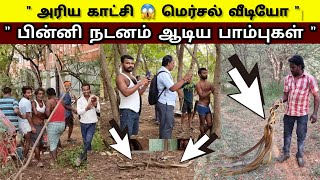 ஒரே இடத்தில் பின்னி ஆடிய பாம்புகள் இந்த பாம்புகள் | என்ன செய்கிறது | இதைப் பாருங்கள் | Snake_Saga