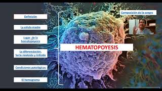 HEMATOPOYESIS