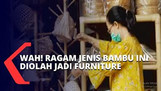 Hebat! Ragam Jenis Bambu Ini Diolah Jadi Furniture hingga Tembus Pasar Dunia