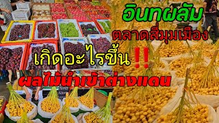 อินทผาลัมราคาส่งตลาดสี่มุมเมือง‼️องุ่นผลไม้นำเข้าต่างแดน#พ่อค้าแม่ค้า #ชาวสวน