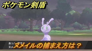 ポケモン剣盾　ヌメイルの出現場所は？オススメの場所は？天気は？ポケモン図鑑コンプへの道！　最新版【ポケモンソード・シールド】