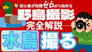 【水鳥の撮りかた】水鳥をうまく撮る方法を完全解説／水鳥の特徴がわかる／スライド講義・字幕音声解説付き