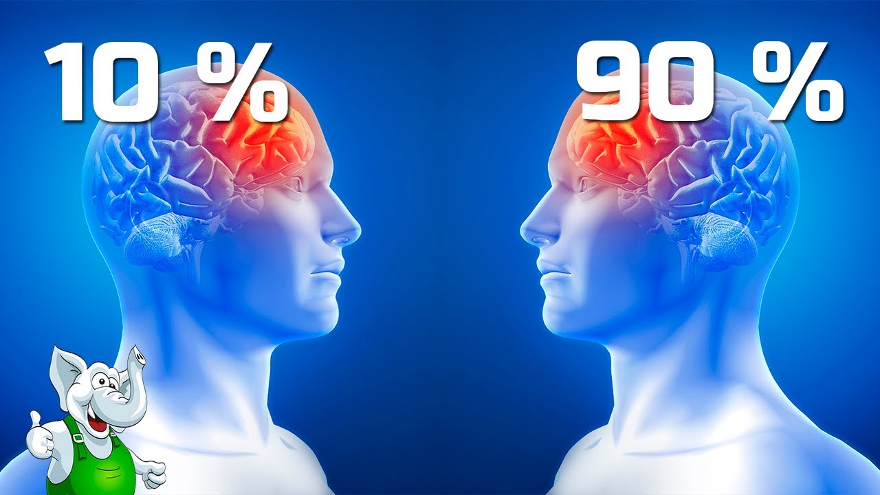 10 процентов мозга. 10% Мозга. Мозг человека задействован на процентов. Чтение и мозг.