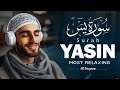 (NEW) Majestic Surah Yasin(Yaseen سورة يس | Calming Relaxing Voice | Al Bayaan