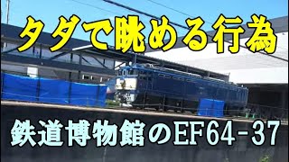 鉄道博物館で公開中のEF64 37をタダで見る行為