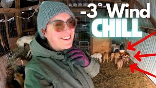 Our Homestead This Week: The Final DEEP Freeze Before the Warmth of Spring! | Farm Life VLOG