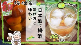 日本酒で梅酒を漬けると？普通の日本酒は酒税法違反