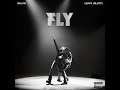 Quavo, Lenny Kravitz - FLY (ECEE Instrumental)