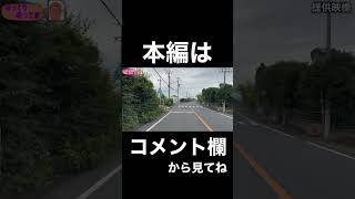 小学生が横断歩道でまさかの行動shorts