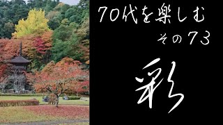 【70代を楽しむ・その73】気掛かりでしたが 見事な紅葉 愛しくて 自然