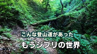 ジブリな登山道　水と森の道