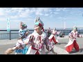 俄嘉屋　ゑぇじゃないか祭り　泉州よさこい