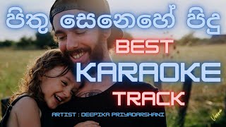 Pithu Senehe pidu Karaoke පිතු සෙනෙහේ පිදු